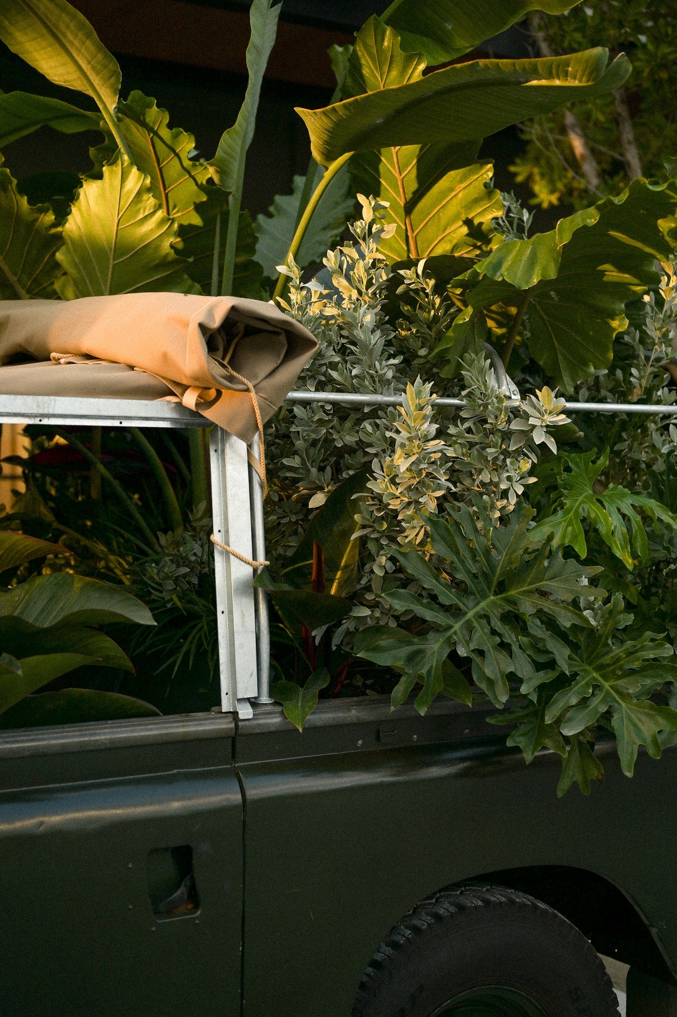 Plant Passenger III