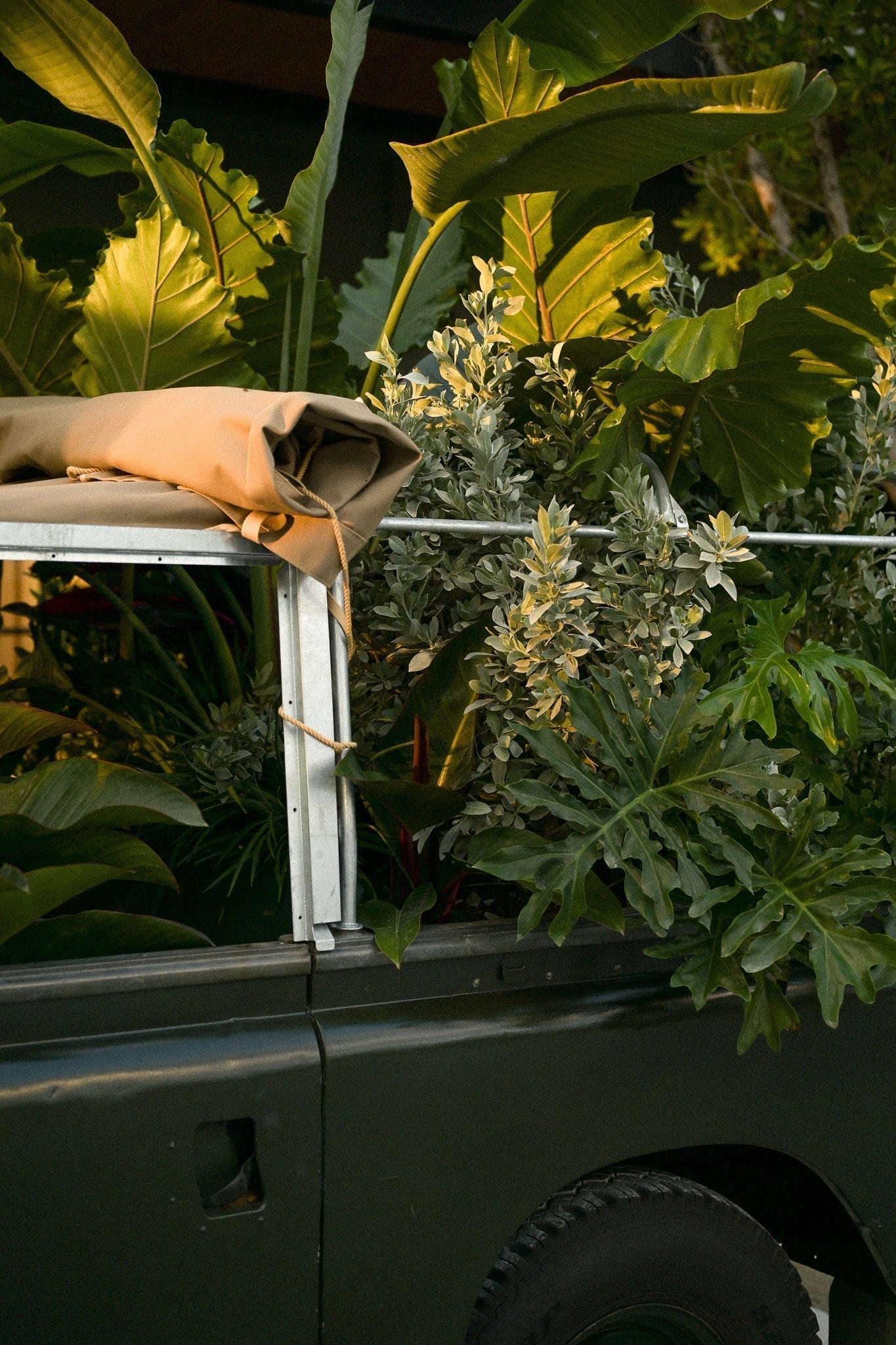 Plant Passenger III