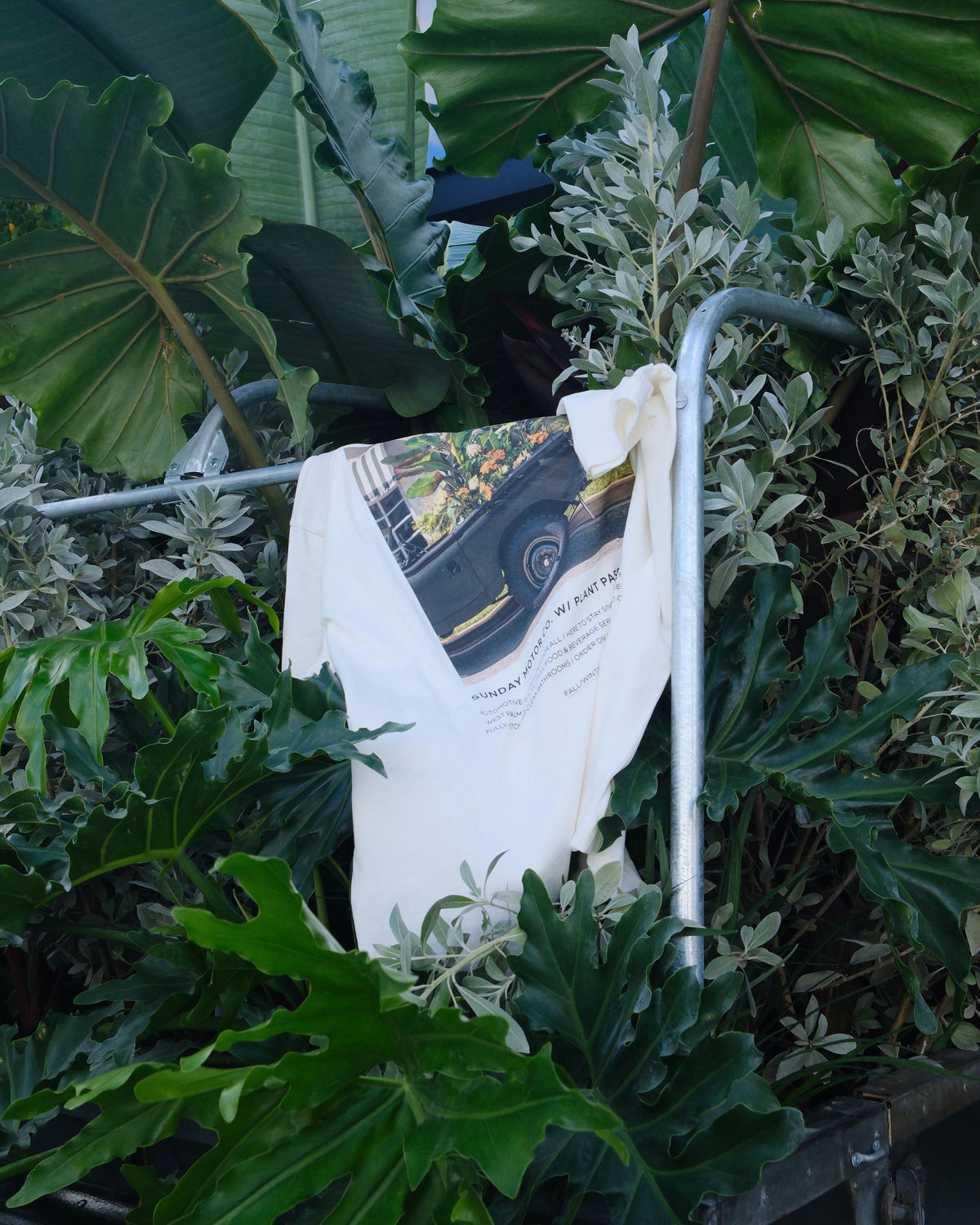 Plant Passenger III Tee