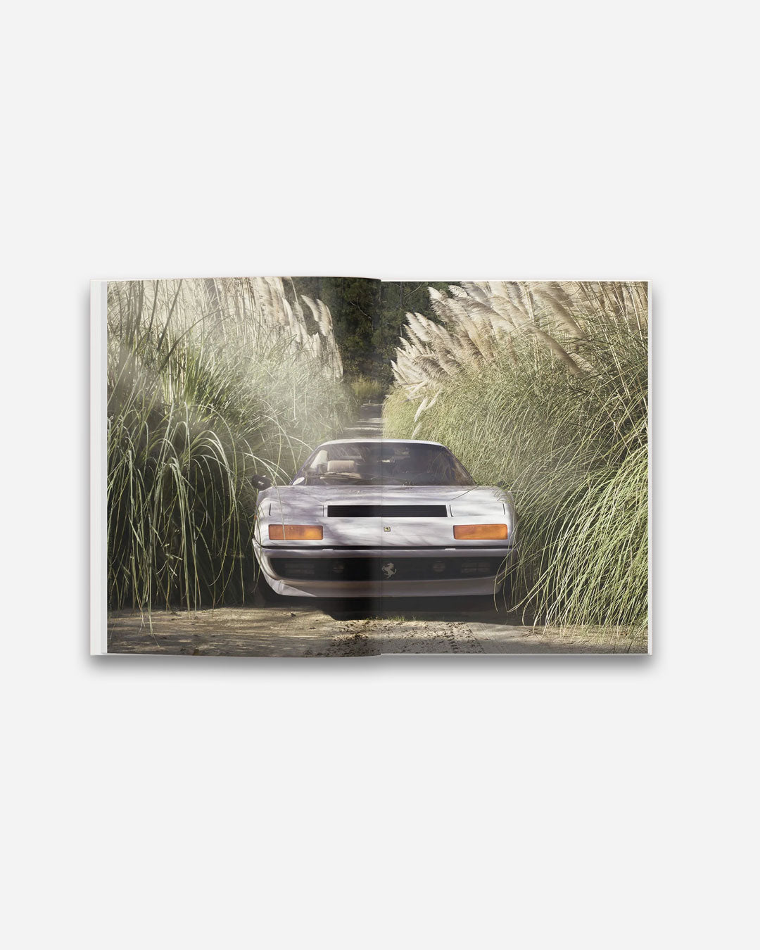 Under The Sun Vol. 2 Ferrari